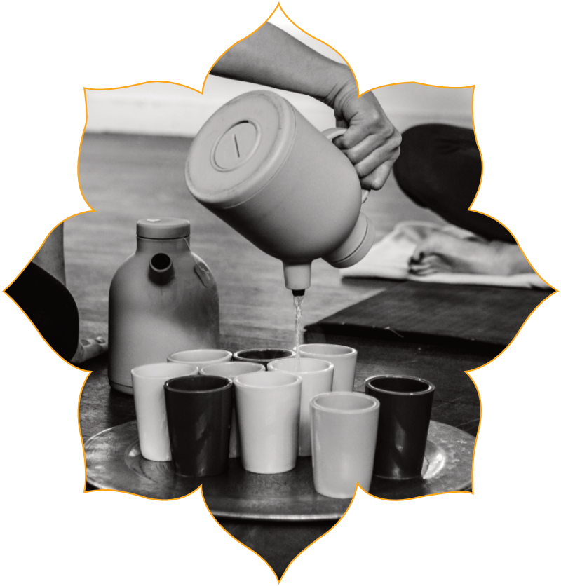 Contacteer Yoga in de Bonte Os en Simone Brummelhuis